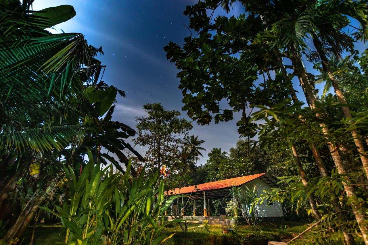 Coconut Villa Midigama East Exterior foto